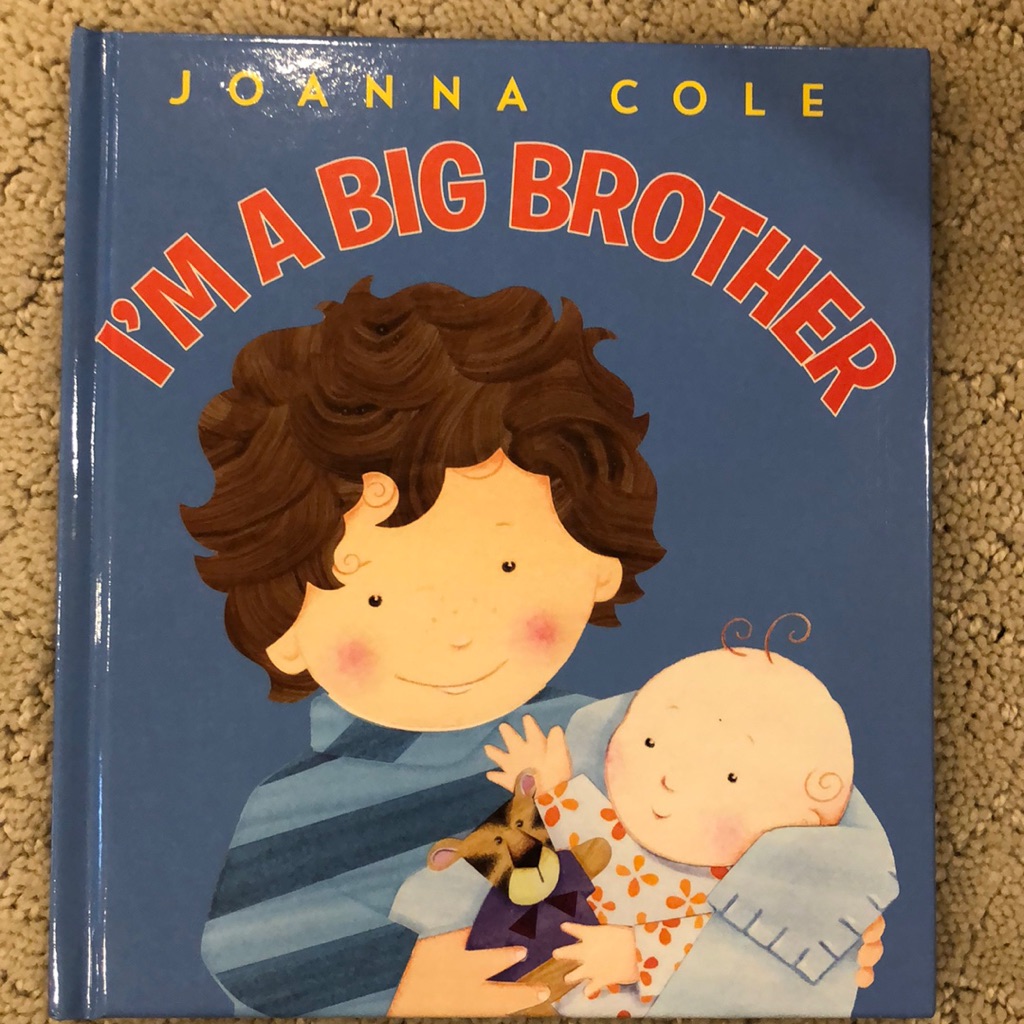 Brand New Big Brother Book